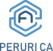 Peruri CA Logo